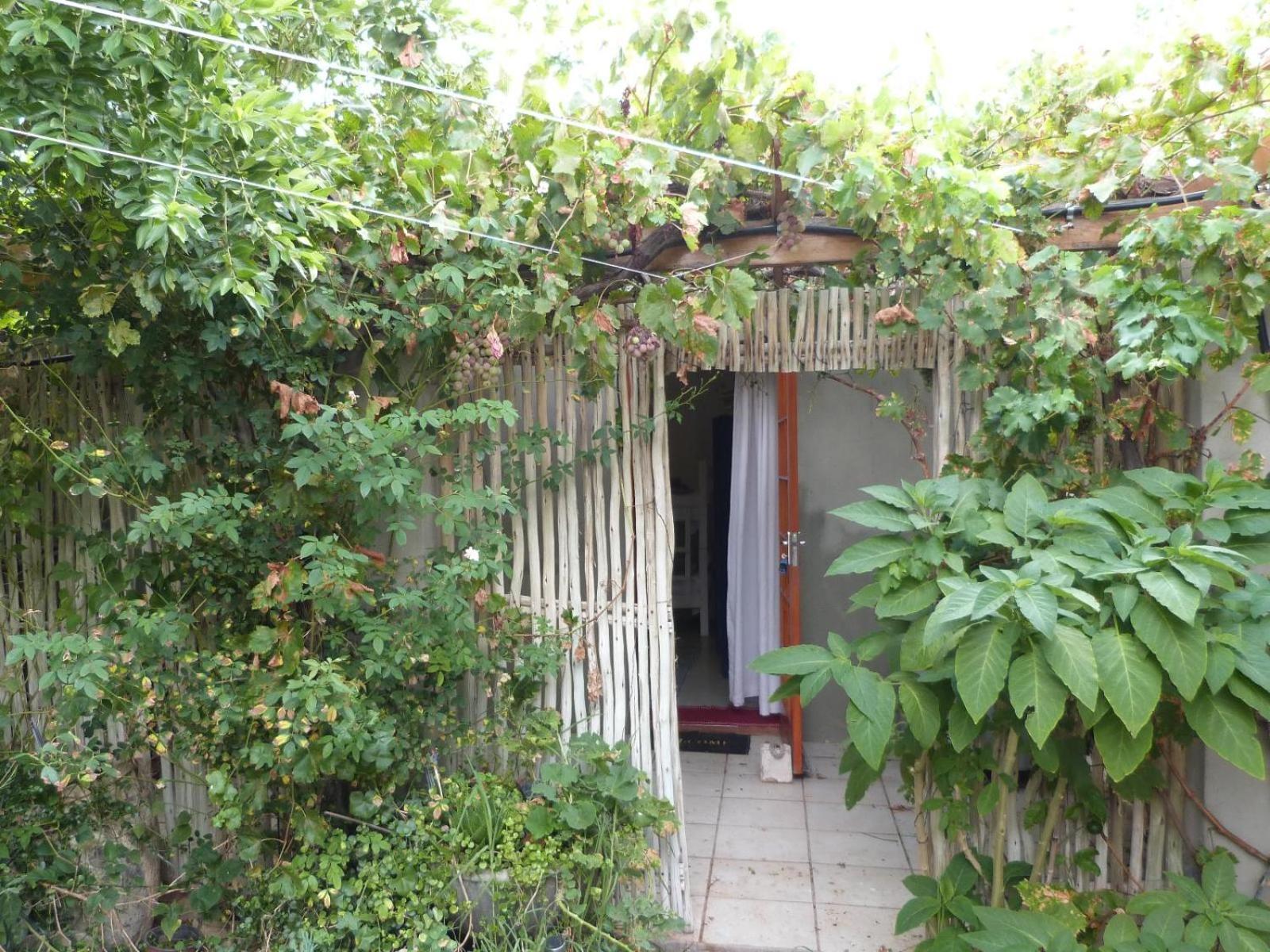 Appartement Hannah'S Haven Studio Deluxe - No Loadshedding à Beaufort West Extérieur photo
